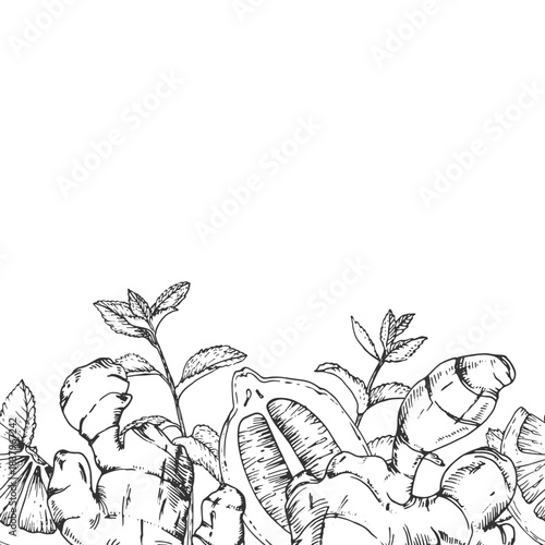 Ginger, mint and lemon vector seamless border. Hand-drawn ink background. Design elements for drink labels, menus, and recipes.