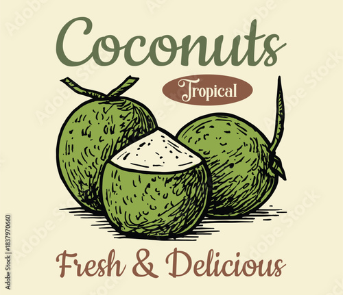 coconut, palm, tropical, beach, summer, island, exotic, paradise, sun, ocean, vacation, fruit, nut, shell, water, milk, drink, cocktail, straw, tiki, surfing, skater, retro, vintage, 90s, sunset, sunr
