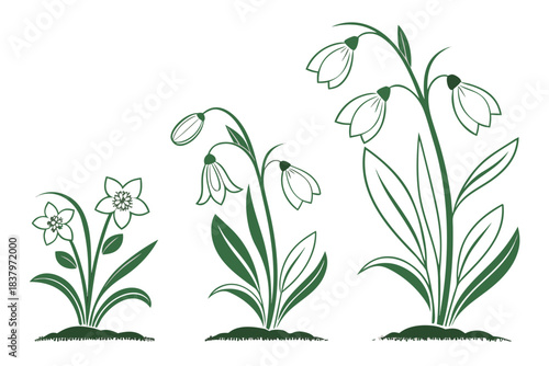 Clean Minimal Spring Plant Growth Icon Set  White Vector Icon Set