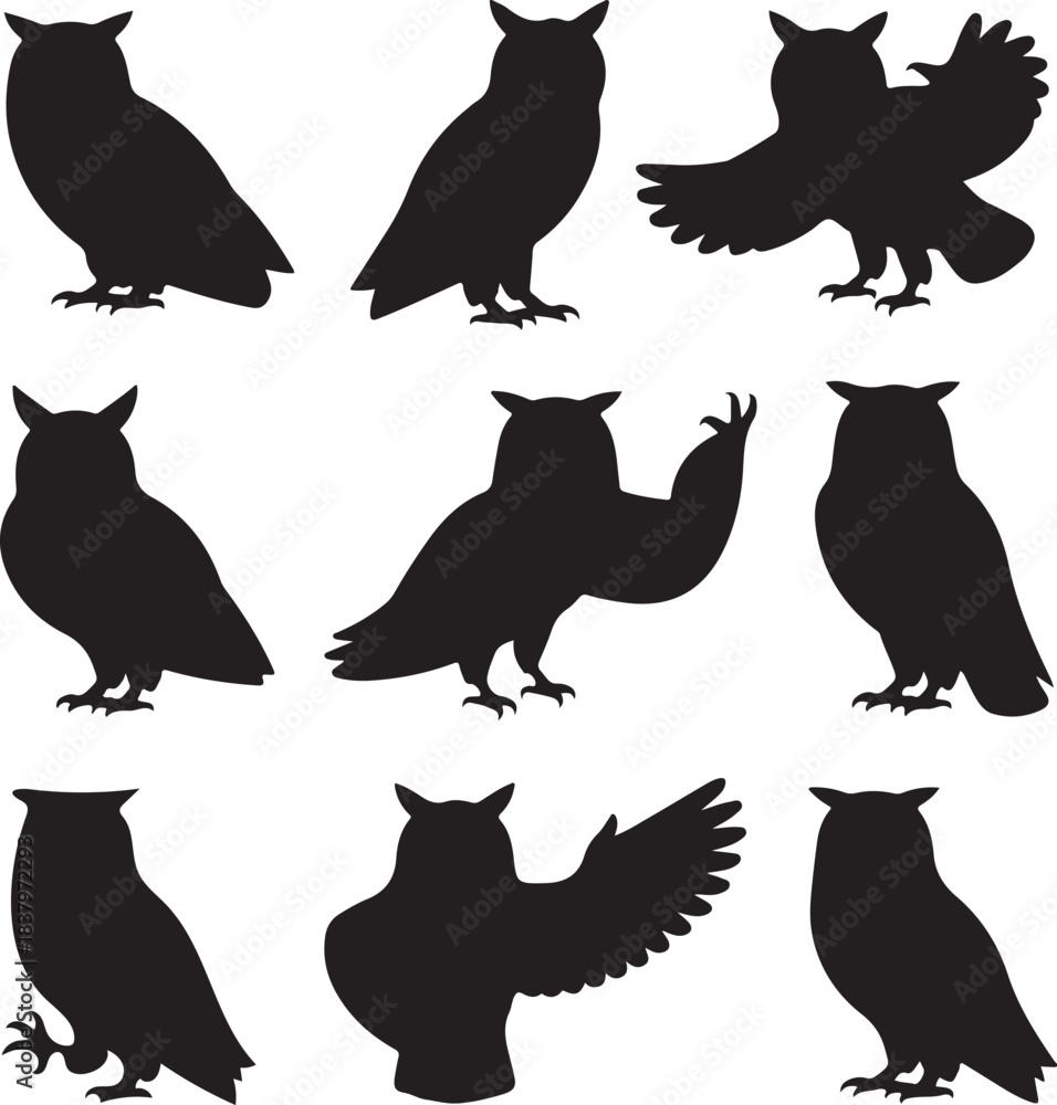 Fototapeta premium Collection of Nine Wise Owl Silhouettes in Mystical Poses