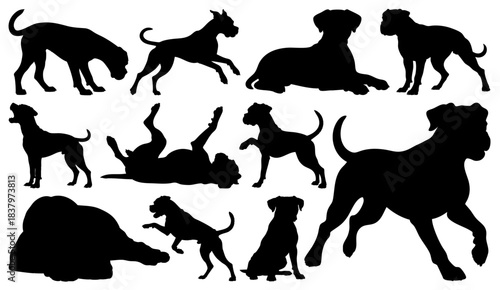 Boxer Dog Silhouettes Set of Vector Black Animal Poses and Various Actions, Transparent Background