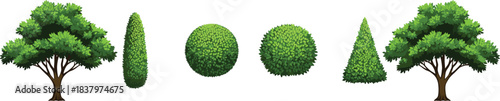 Collection of various green trees and topiary shapes set vector graphic illustration showing different trimmed shrubs and plants for landscape design element