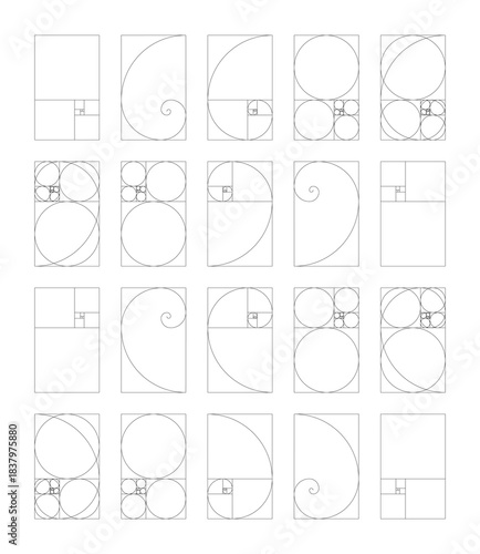 Vertical golden ratio harmony proportions template. Set of Fibonacci numbers. Fibonacci array.