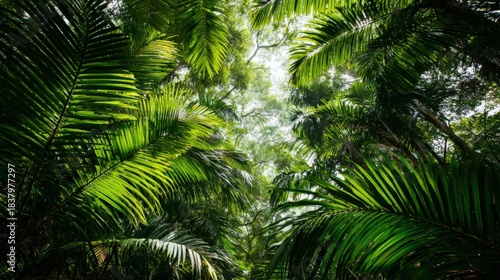 Wallpaper Mural Lush Green Canopy: Tropical Palm Trees in a Vibrant Forest, Showcasing Natural Beauty and Serenity Torontodigital.ca