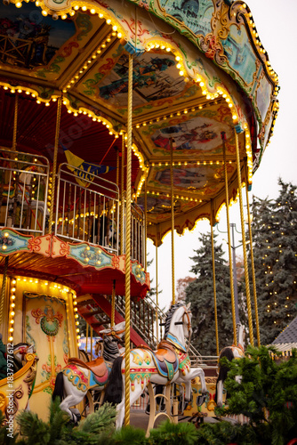 carousel in the park