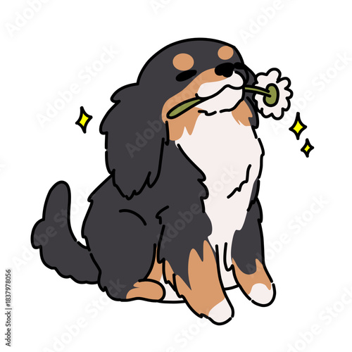 Sweet fluffy dog holding a flower in its mouth.