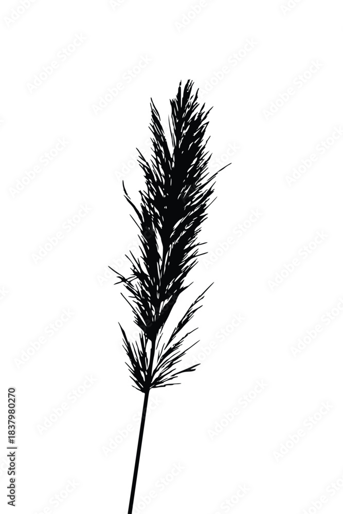 Fototapeta premium Black silhouette of tall grass on a clean white background, ideal for botanical illustrations, nature design elements, vector art projects, logos, wall art, print templates, eco branding.