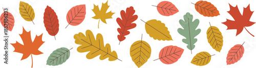Autumn leaf vector set, colorful fall foliage, seasonal nature icons, maple oak elm leaves, vibrant botanical illustration pack