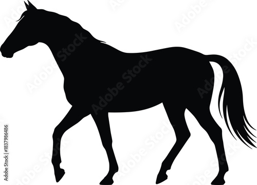 Horse silhouette vector, black trotting animal icon, graceful motion graphic, equestrian wildlife illustration, minimalist farm design pack