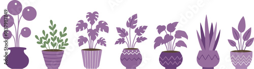 An appealing assortment of decorative house plants in unique purple pots for modern home interior