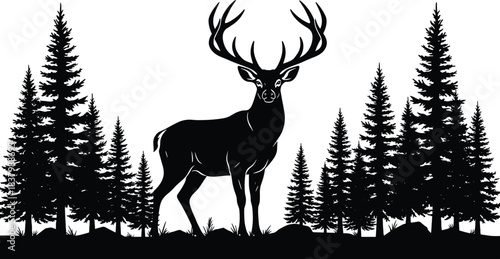 Majestic deer silhouette, forest wildlife scene, antlered buck in pine woods, nature illustration, woodland animal art, black and white vector