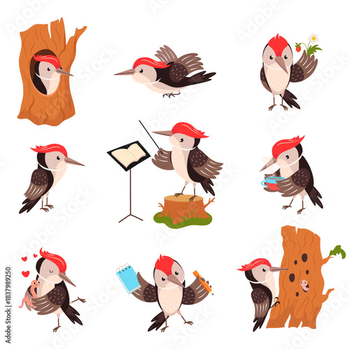Woodpecker characters. Cartoon funny woodpeckers on tree, drink tea, looking food. Cute forest wild bird different poses, childish mascot, nowaday vector set