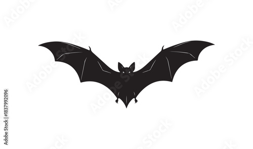 Flying bat in dark night