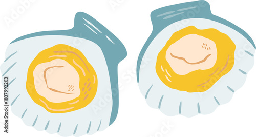 Hand drawn scallop shell seafood vector illustration. Oyster icon for restaurant menu, culinary design and recipes