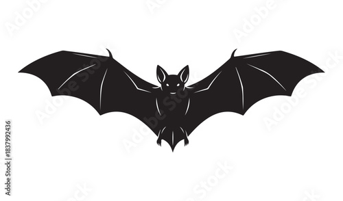 Flying bat in dark