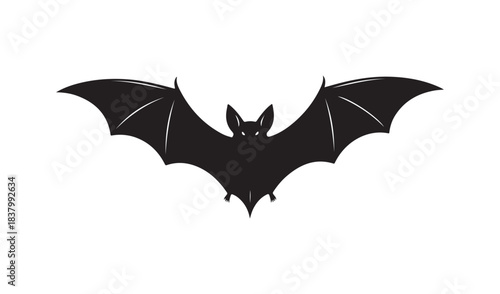 bat and bats
