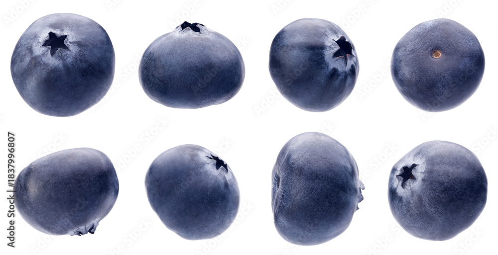 Fototapeta premium Set of fresh blueberries isolated