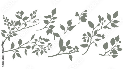 Gray branches with leaves and buds on a white background illustration