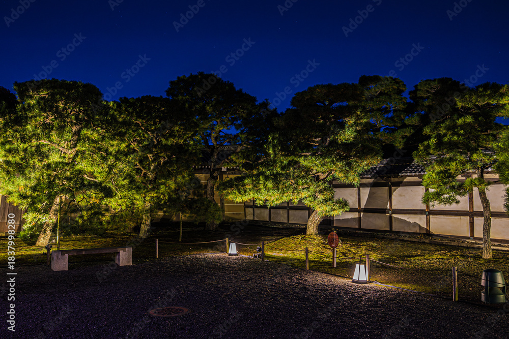 Obraz premium 紅葉風景