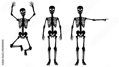 Three black skeletons in different poses on a white background art