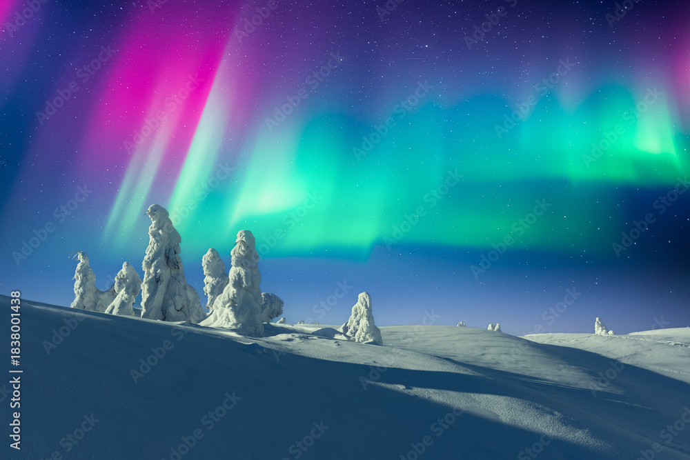 Fototapeta premium Vivid Aurora Borealis over snowy mountains and frozen trees. Bright Northern lights in clear winter night sky
