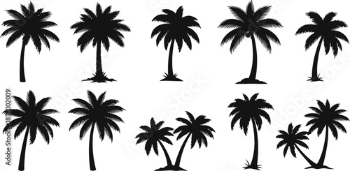 Set Of Stylized Palm Trees For Tropical Beach Design