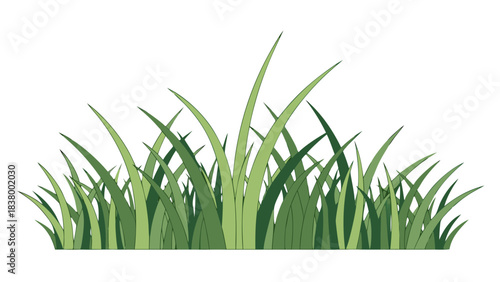 A Lush Cluster Of Green Blades Of Grass With Varying Shades Of Green Against A Solid Black Background Showing A Vector Illustration Of A Natural Element