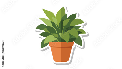 A Lush Green Potted Plant in a Terracotta Pot Set Against a Stark Black Background with a Subtle White Outline Accentuating its Shape