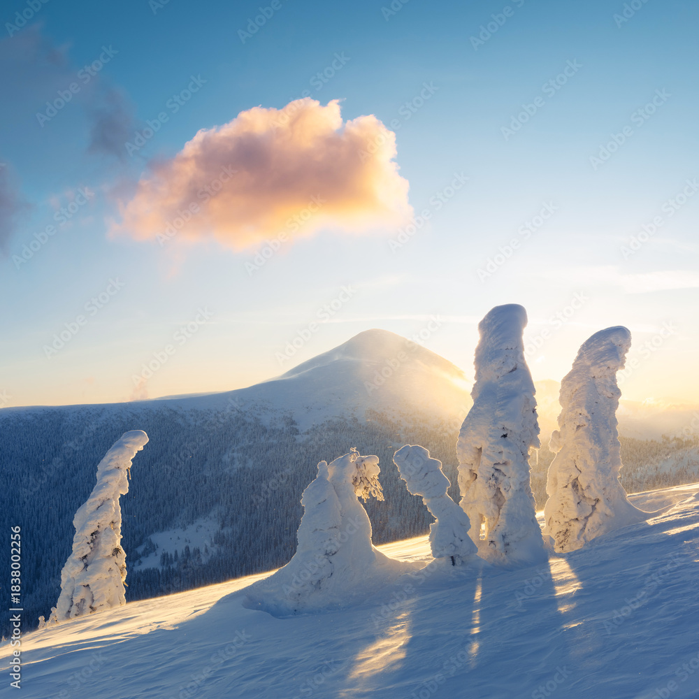 Fototapeta premium Frozen winter trees standing on a snowy hill at sunrise. Mountain snowy landscape with golden sunlight and long shadows