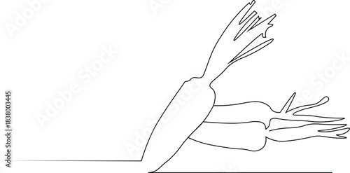 Continuous one line drawing 4 carrots. Made into vegetables or just want to make it a snack. Healthy food that is easy to process. International Carrot Day. Single line draw design vector illustration