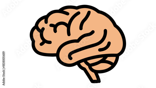 A simple illustration of the human brain in profile view against a plain black background with beige tones and black outlines highlighting its structure and complexity