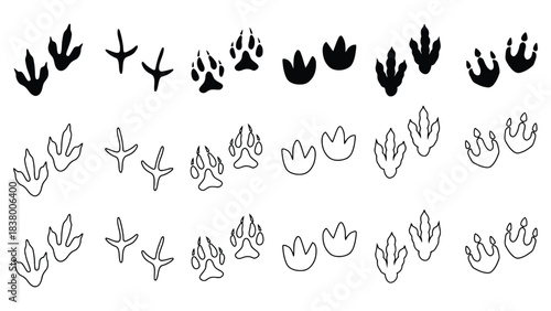 Animal footprints vector illustration for graphic resources