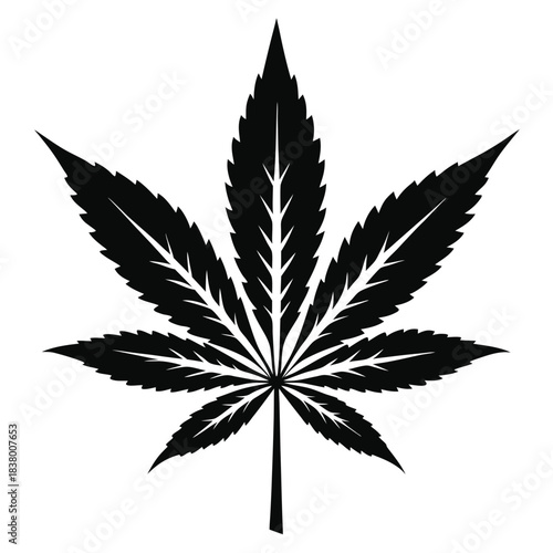 cannabis leaf black and white silhouette on white background