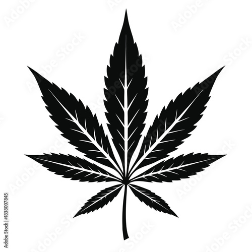 cannabis leaf black and white silhouette on white background