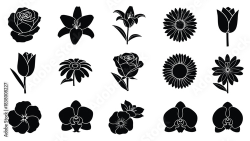A collection of various black silhouette floral designs arranged in a grid pattern