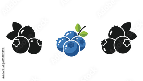 Stylized blueberry illustrations in varying color schemes and designs