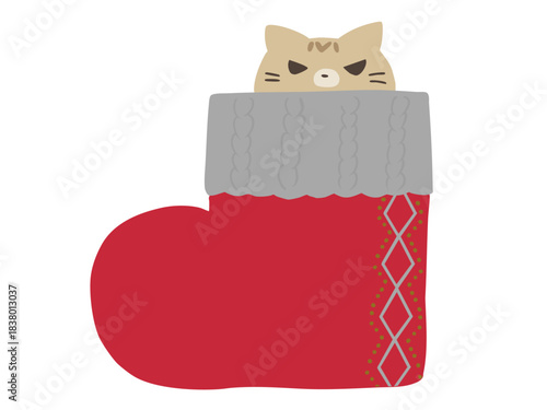 ブーツからクリスマス ねこ 主線なし