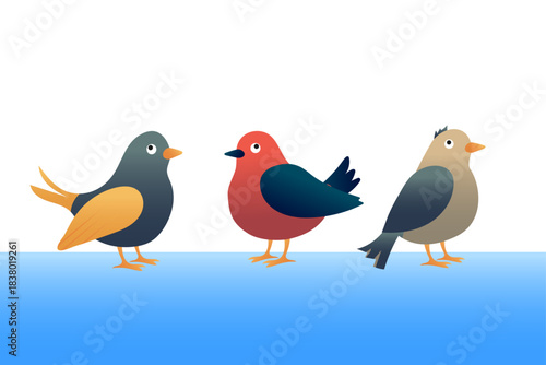 Set of abstract birds three birds in different colors feathers paws eyes illustration flat vector bird