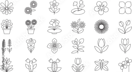 Collection of 20 minimalist outline drawings of flowers plants and a butterfly vector
