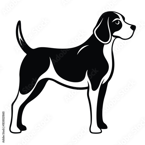 beagle black and white silhouette on white background