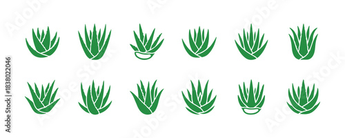 Flat glyph icons of aloe vera. These are vector illustrations of a succulent, tropical plant, ideal for organic food and cosmetic branding. Solid colored vector.