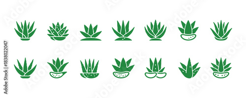 Aloe vera flat glyph icons. Simple illustrations of a succulent, tropical plant, perfect for organic food and cosmetic signs. Solid colored vector.