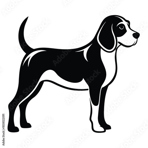 beagle black and white silhouette on white background