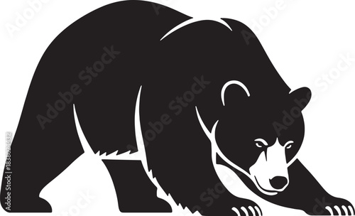 Black Silhouette of a Bear on White Background animal