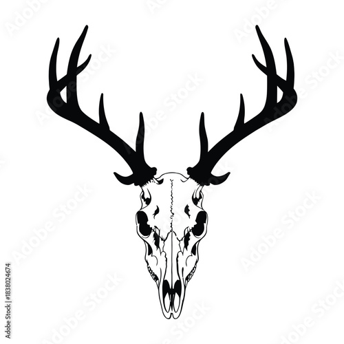 deer head silhouette