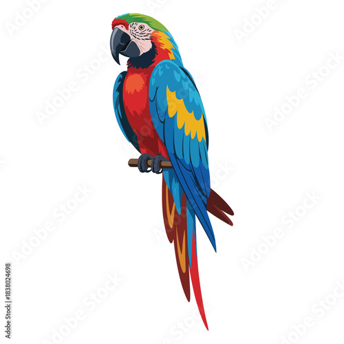red and yellow macaw