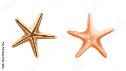 Summer beach shell, isolated set of starfish. Vector in realistic style, sea star from deep ocean bottom. Decoration for aquarium or underwater scenery view. Reef or nautical landscape design