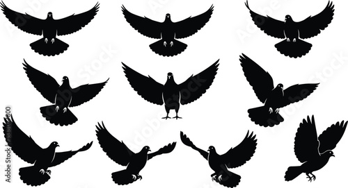 Flying pigeon silhouettes collection, dove bird black vector illustration, peaceful bird symbol, freedom wildlife design, nature animal art, flight concept