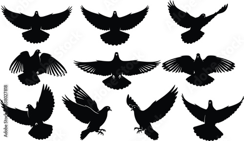 Flying pigeon silhouettes collection, dove bird vector illustration, black flying bird shapes, freedom symbol, peace design, wildlife art illustration