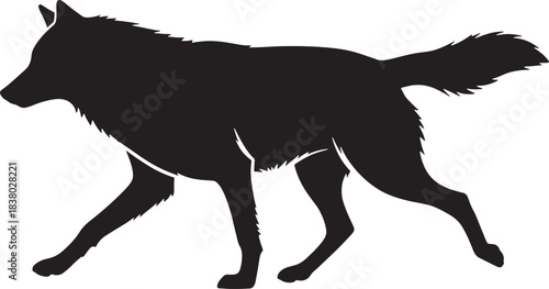 Silhouette of a walking wolf on white background animal